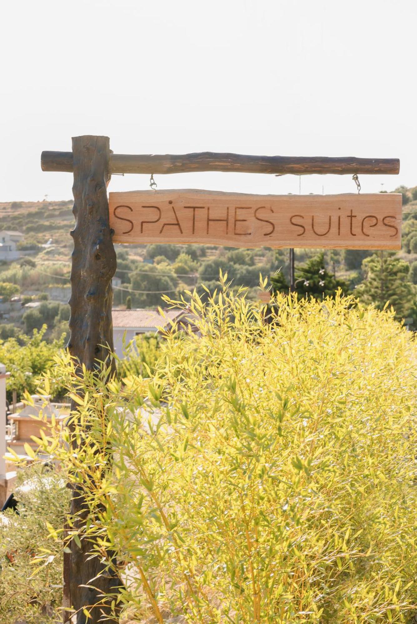 Spathes Suites Kefalonia - Luxury Suites Ratzaklíon Dış mekan fotoğraf